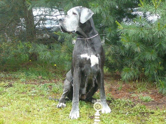 KrV Hradec 2009 Týna 3