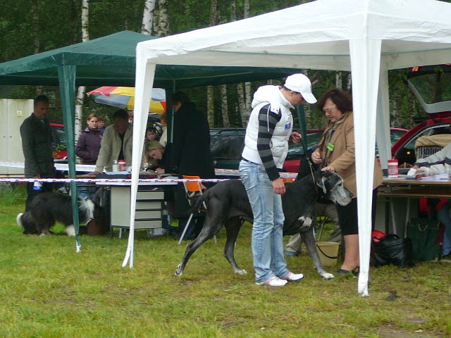 KrV Hradec Týna 2009