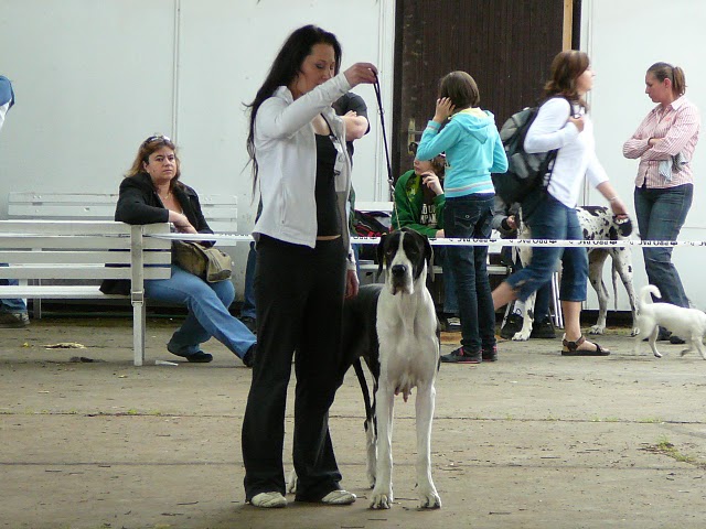 MVP 2010 Calli 1