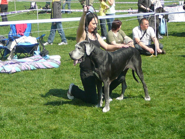 SVP MB 2009 Týna 2